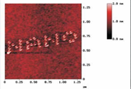 インデンテーションによって刻まれた文字のAFM像
