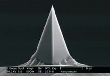 PointProbe® Plus front view (SEM image)