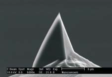 PointProbe® Plus side view (SEM image)