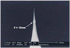 探針先端の拡大像